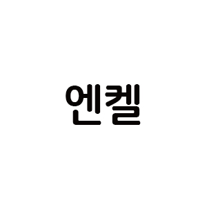 엔켈 아이콘